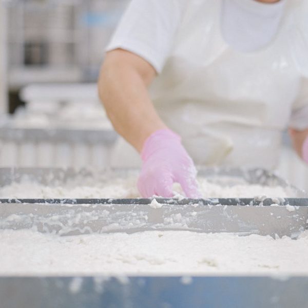 Close-up of a worker processing dairy products wearing gloves and an apron.